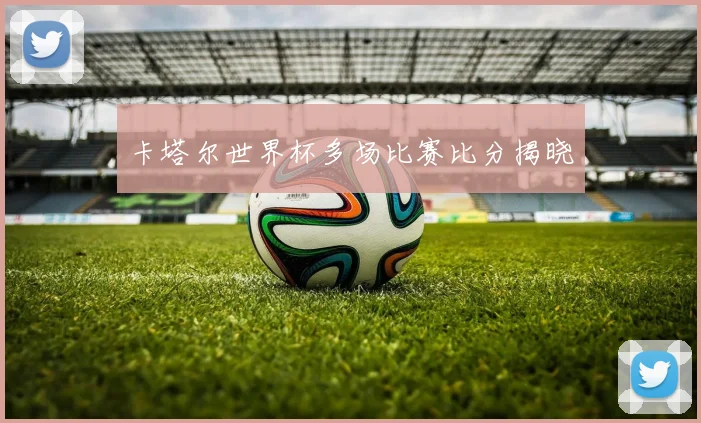 卡塔尔世界杯多场比赛比分揭晓