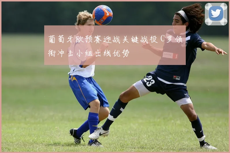 葡萄牙欧预赛迎战关键战役 C罗领衔冲击小组出线优势