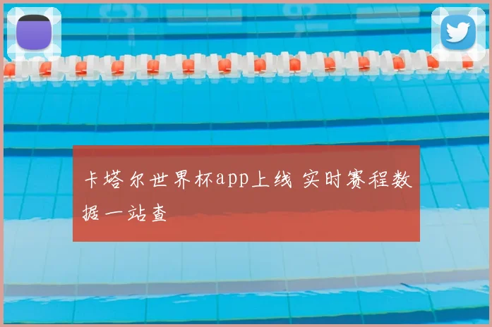 卡塔尔世界杯app上线 实时赛程数据一站查